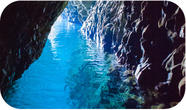 Explore the Blue Grotto and Love Grotto,
and enjoy a fresh-caught seafood beach barbecue!