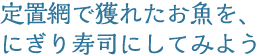 定置網で獲れたお魚を、にぎり寿司にしてみよう