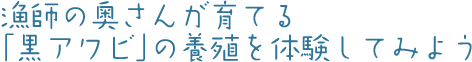 漁師の奥さんが育てる「黒アワビ」の養殖を体験してみよう