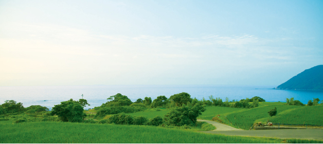 絶景！袖志の棚田を見学