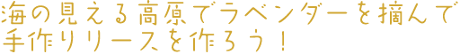 海の見える高原でラベンダーを摘んで手作りリースを作ろう！