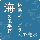 海の体験プログラム